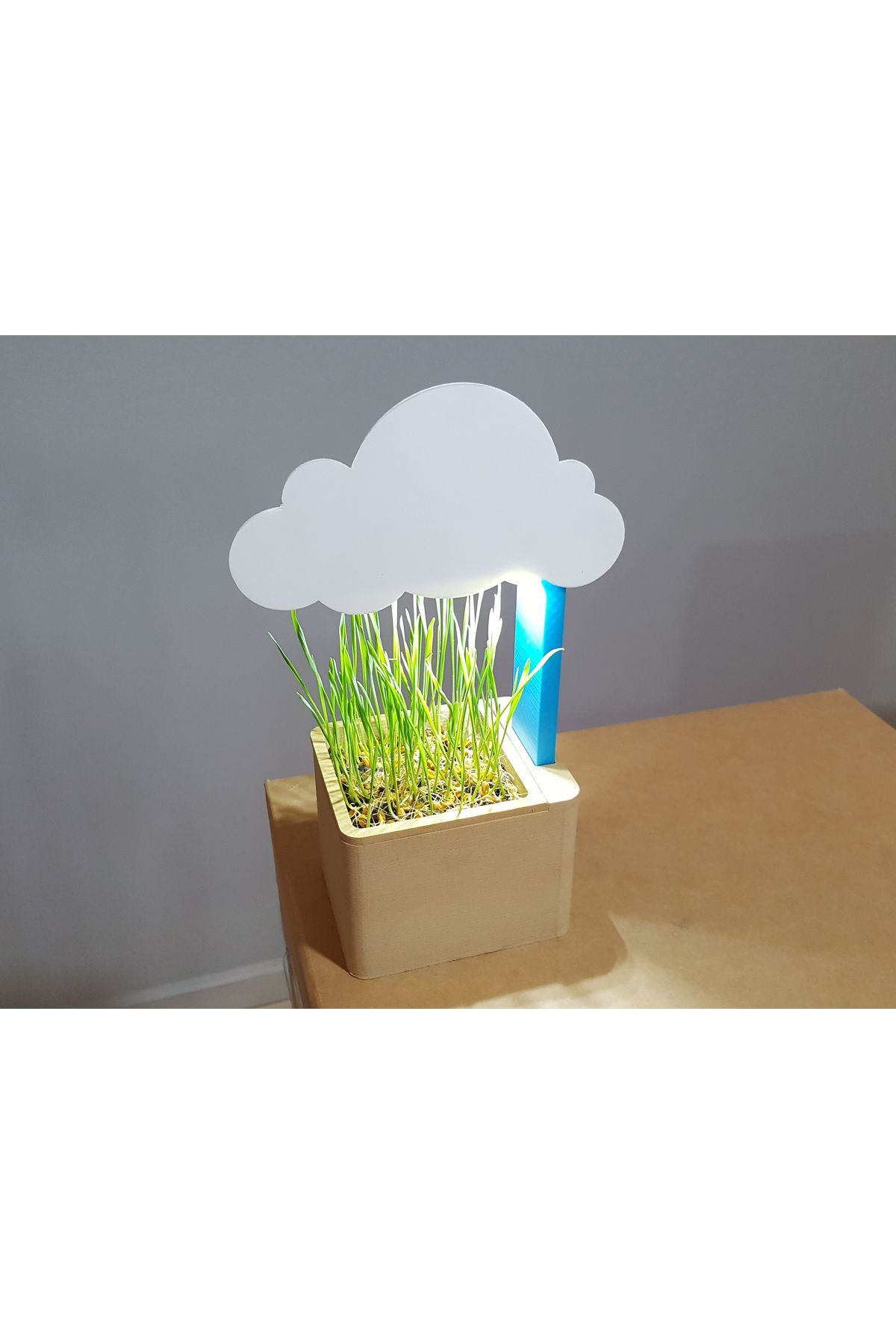Vision Craft Bulut saksı