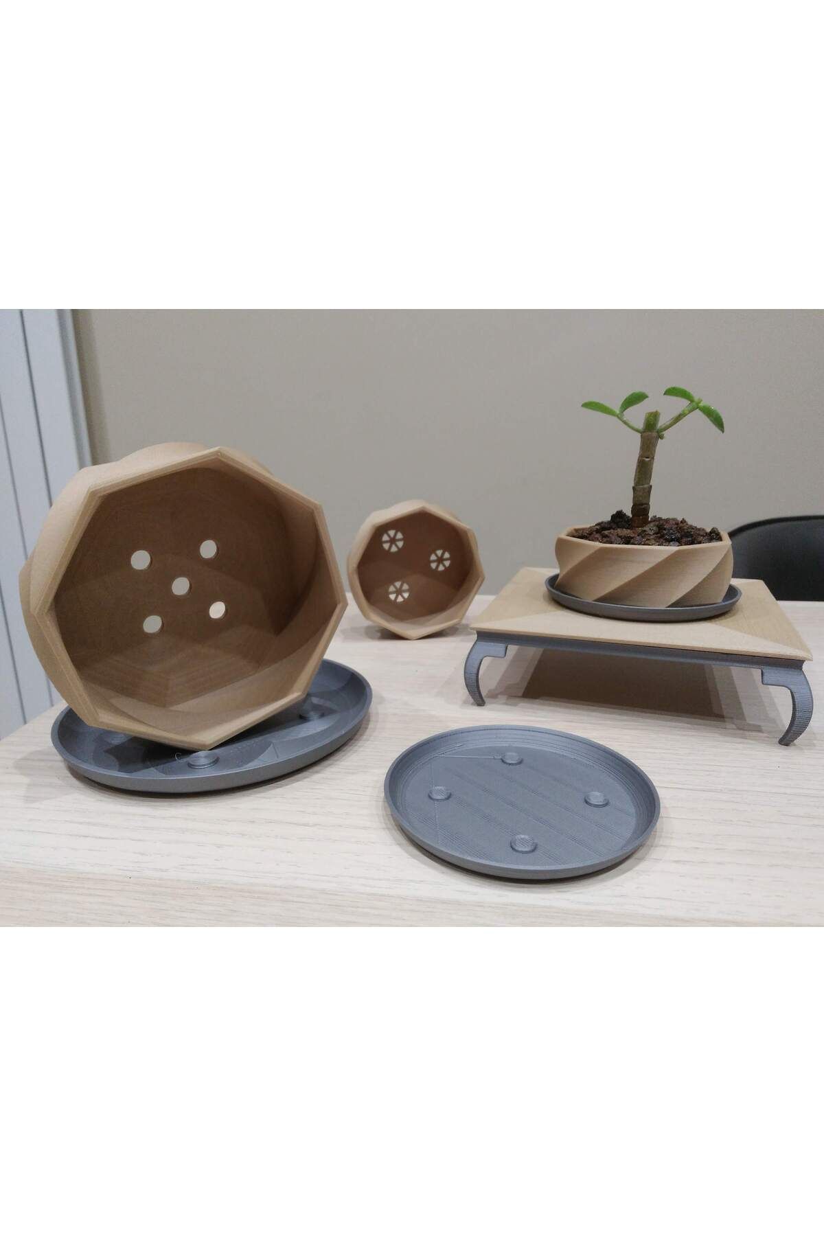Vision Craft Bonsai kutusu