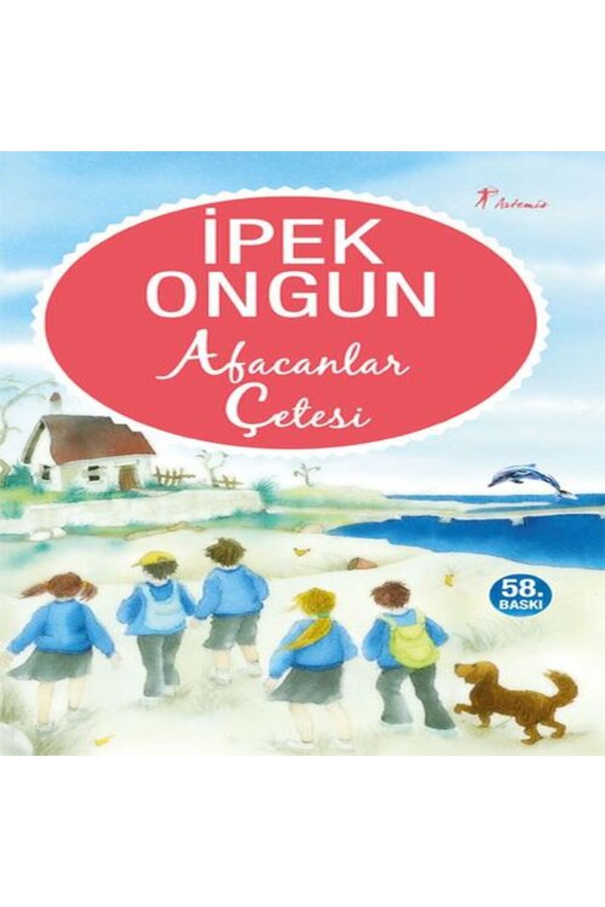 Karatay Yayınları Afacanlar Çetesi
