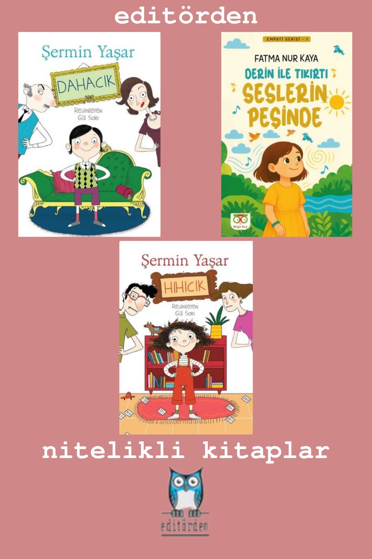 Bilge Kuş Yayınları Dahacık - Derin İle Tıkırtı Seslerin Peşinde - Hıhıcık / Şermin Yaşar
