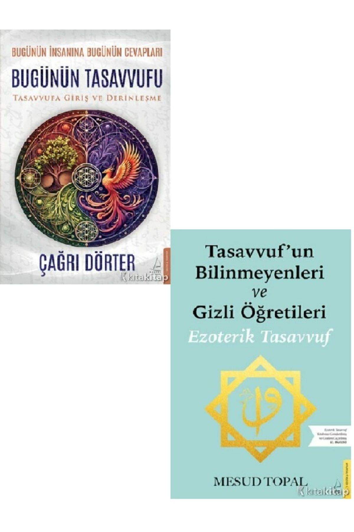 Destek Yayınları Bugünün Tasavvufu-Tasavvufun Bilinmeyenleri - Çağrı Dörter 2 KİTAP ( ÜCRETSİZ KARGO )