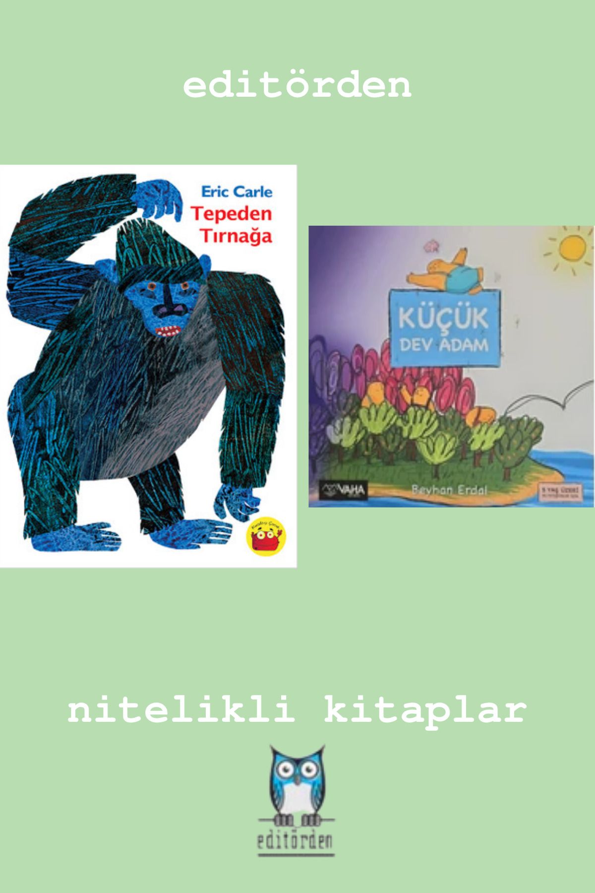 Bilge Kuş Yayınları Tepeden Tırnağa - Küçük Dev Adam