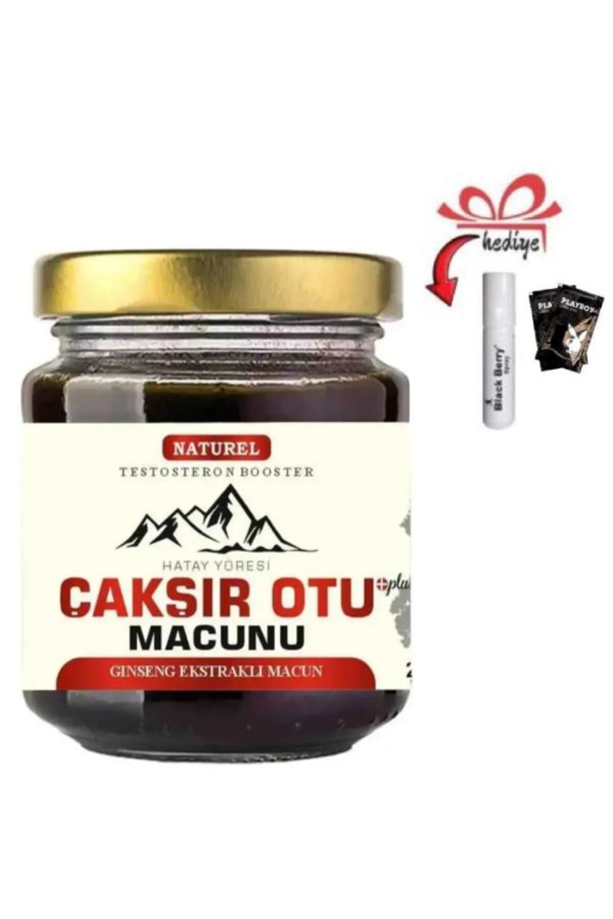 Dolce Hataya Özgü Çakşır Otu Erkekler İçin Performansa Bitkisel Takviye 240 Gr X 1 Ad.+Jel-Geciktiriciyle