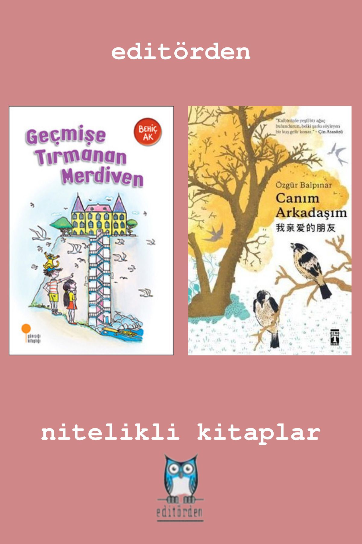 Bilge Kuş Yayınları Geçmişe Tırmanan Merdiven – Canım Arkadaşım / Özgür Balpınar