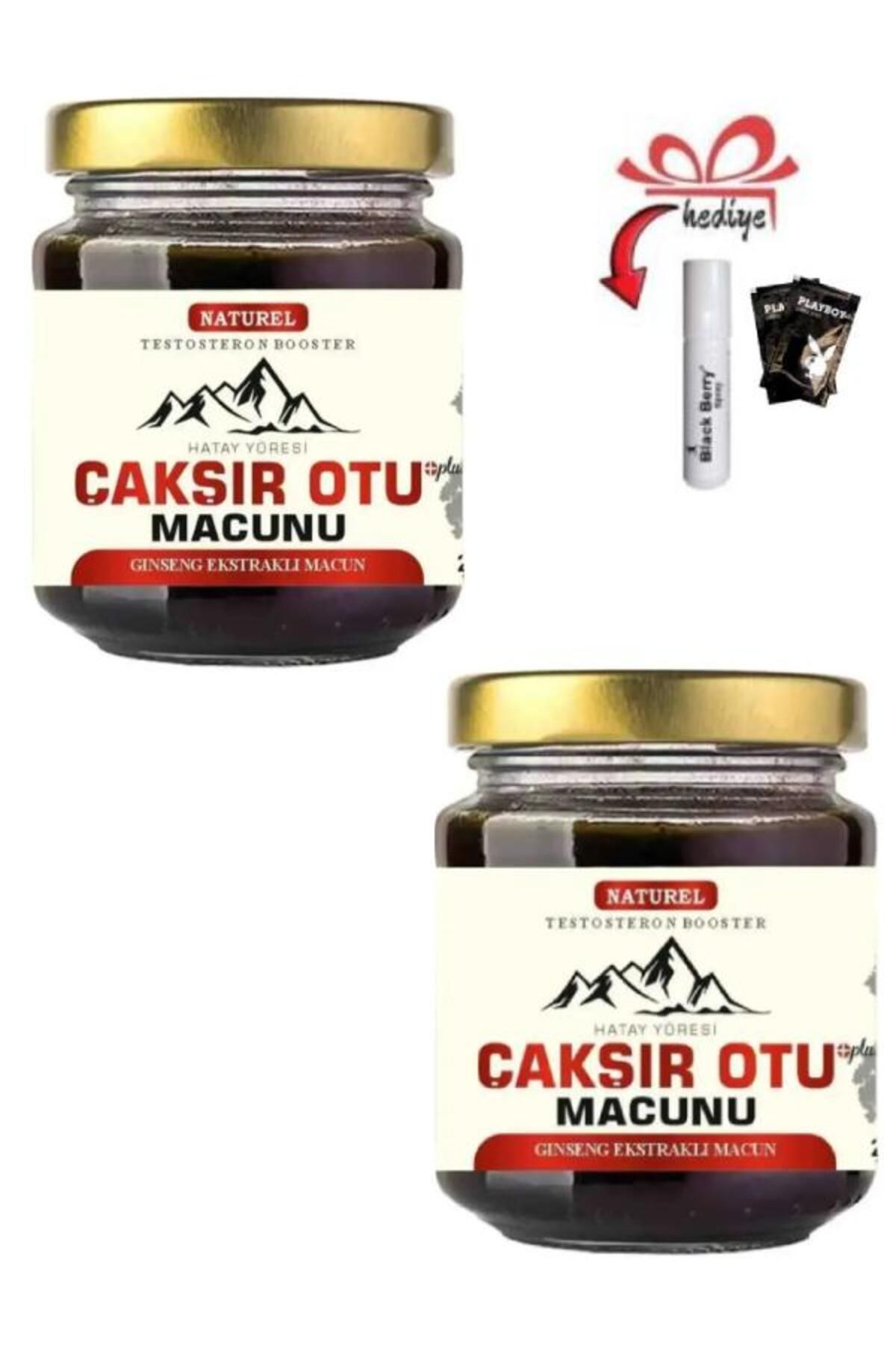 Dolce Hataya Özgü Çakşır Otu Erkekler İçin Performansa Bitkisel Takviye 240 Gr X 2 Ad.+Jel-Geciktiriciyle