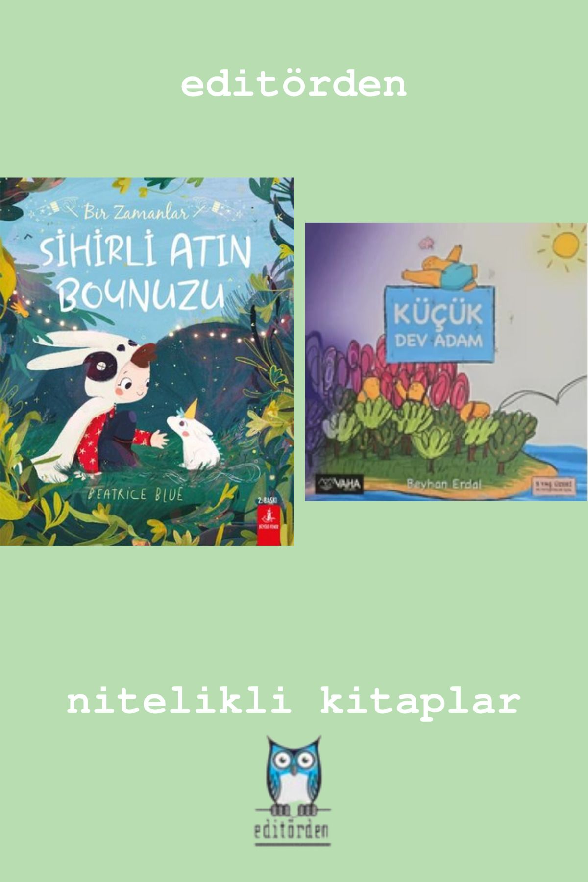 Bilge Kuş Yayınları Bir Zamanlar Sihirli Atın Boynuzu - Küçük Dev Adam