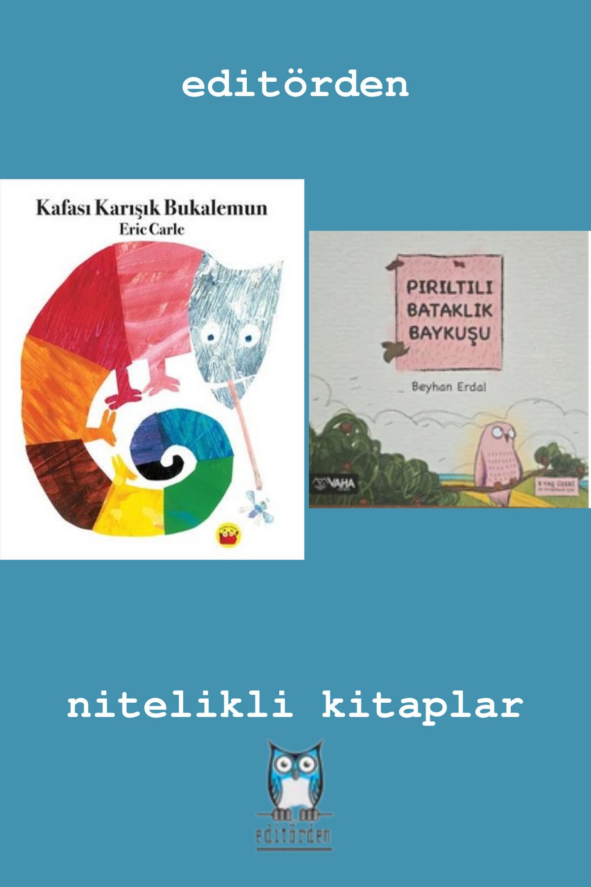 Bilge Kuş Yayınları Kafası Karışık Bukalemun - Pırıltılı Bataklık Baykuşu