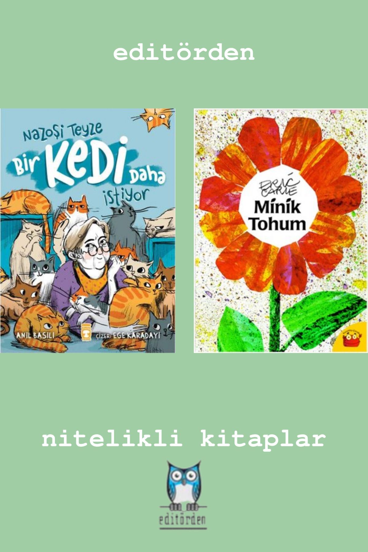 Bilge Kuş Yayınları Nazoşi Teyze Bir Kedi Daha İstiyor - Minik Tohum / Eric Carle