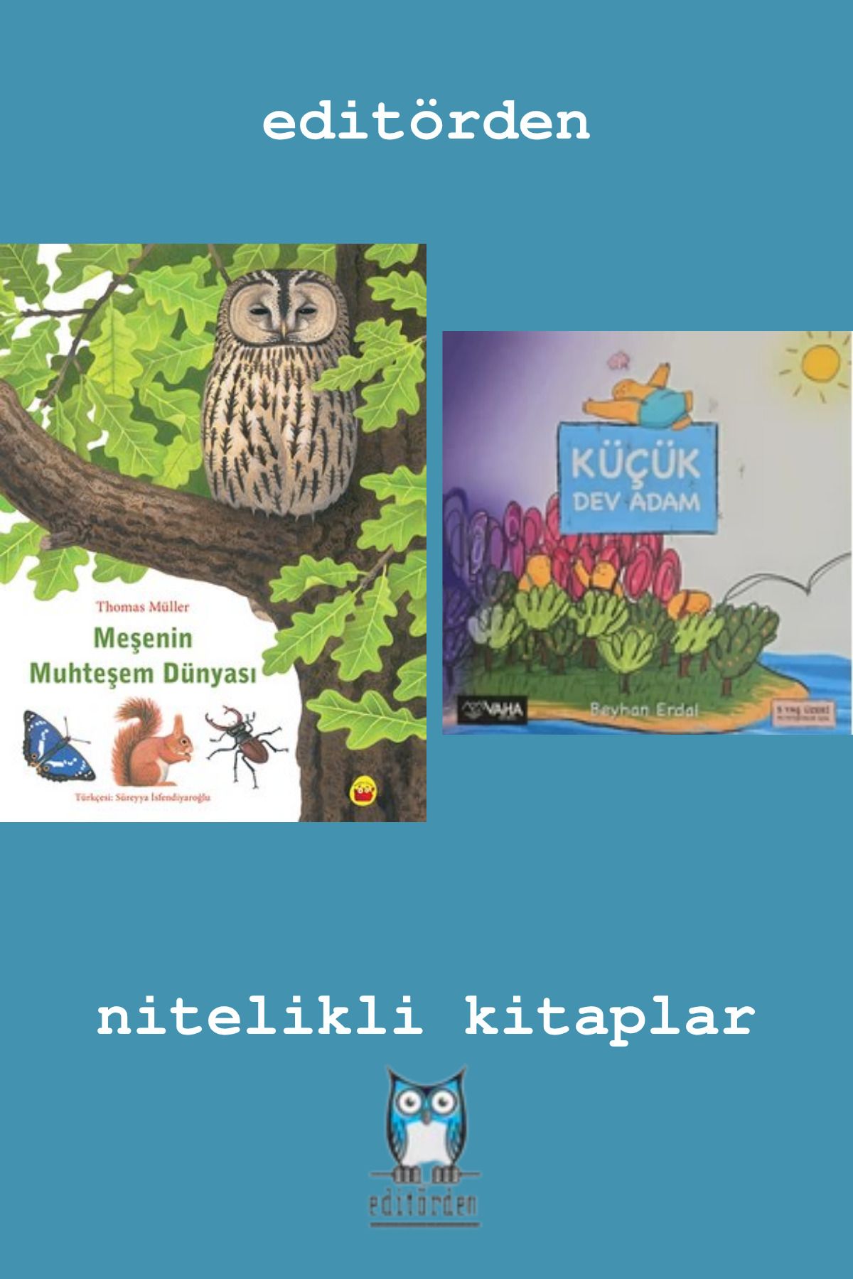 Bilge Kuş Yayınları Meşenin Muhteşem Dünyası - Küçük Dev Adam