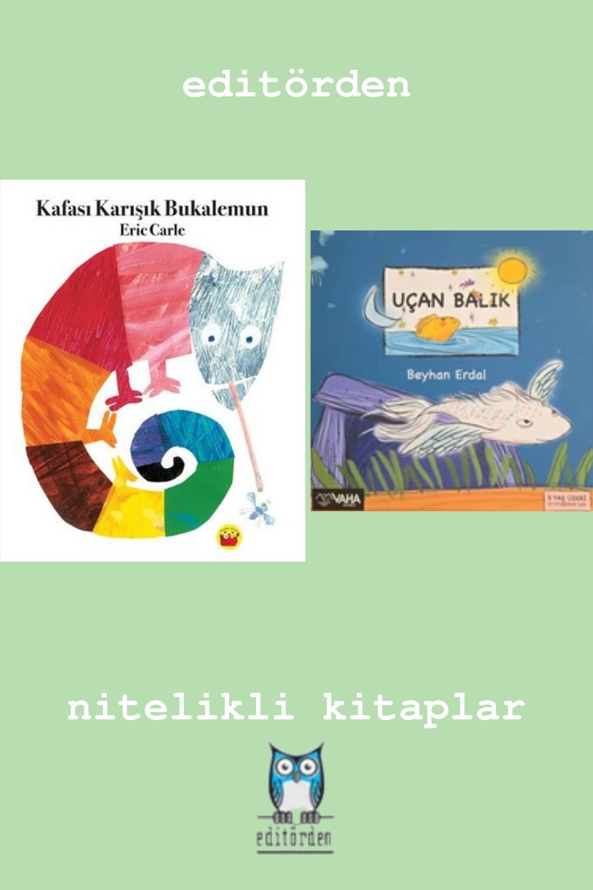 Bilge Kuş Yayınları Kafası Karışık Bukalemun - Uçan Balık