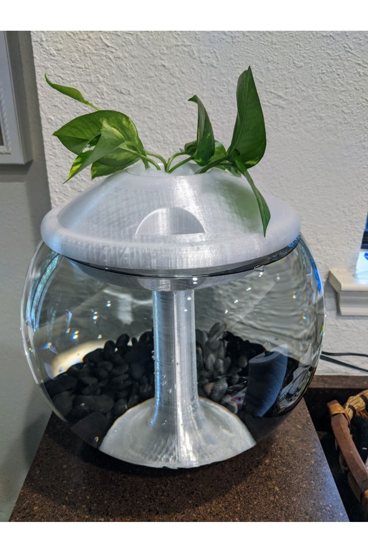 talaşoğlu Aquaponic Balık Kasesi