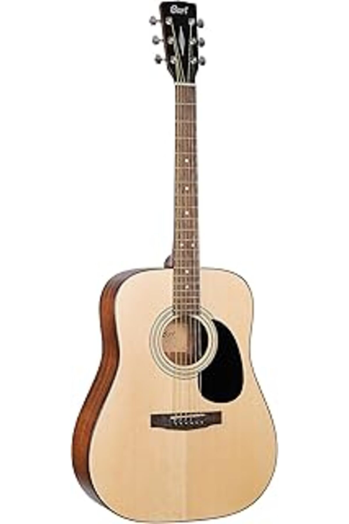 Pazarcan Cort Ad810Op Akustik Gitar