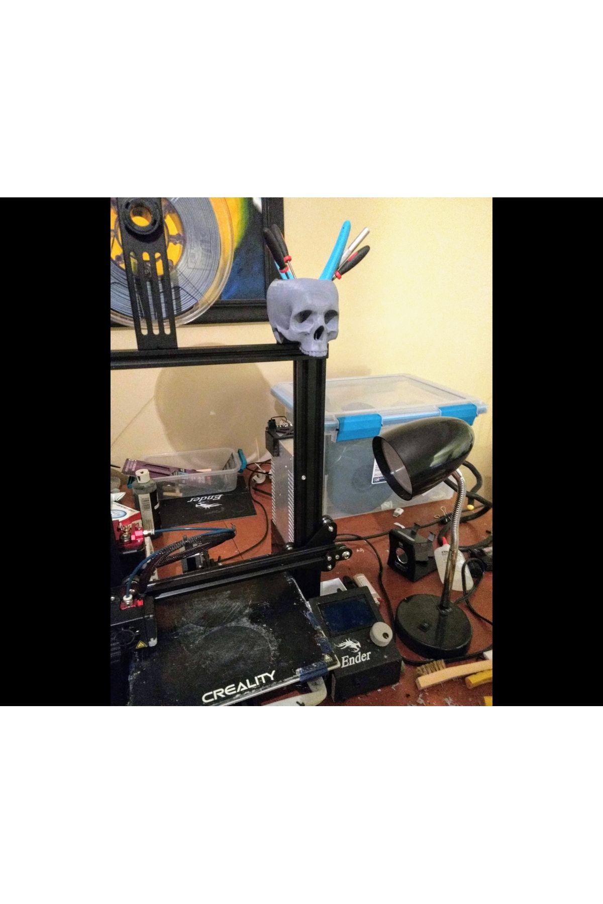 talaşoğlu Ender 3 Kafatası Depolama Kasesi