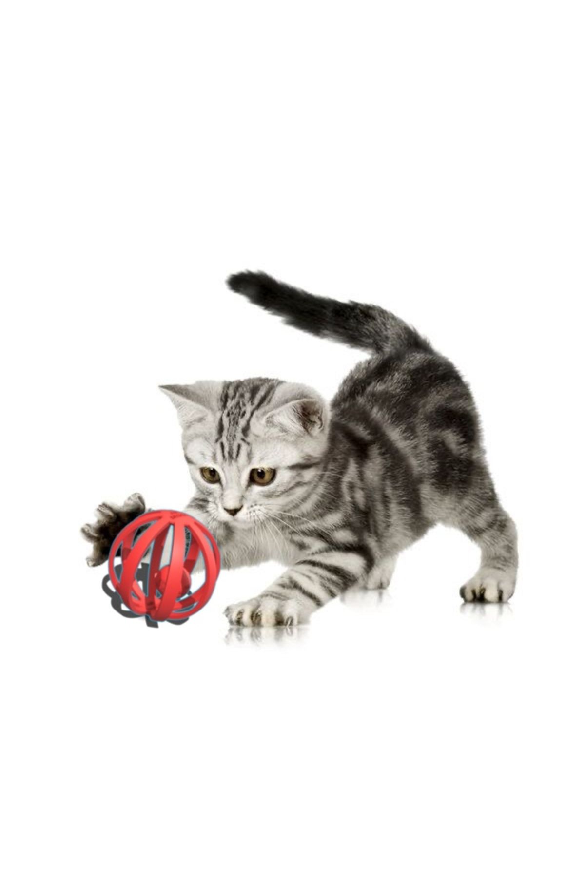 Vision Craft Çift top kedi oyuncakları