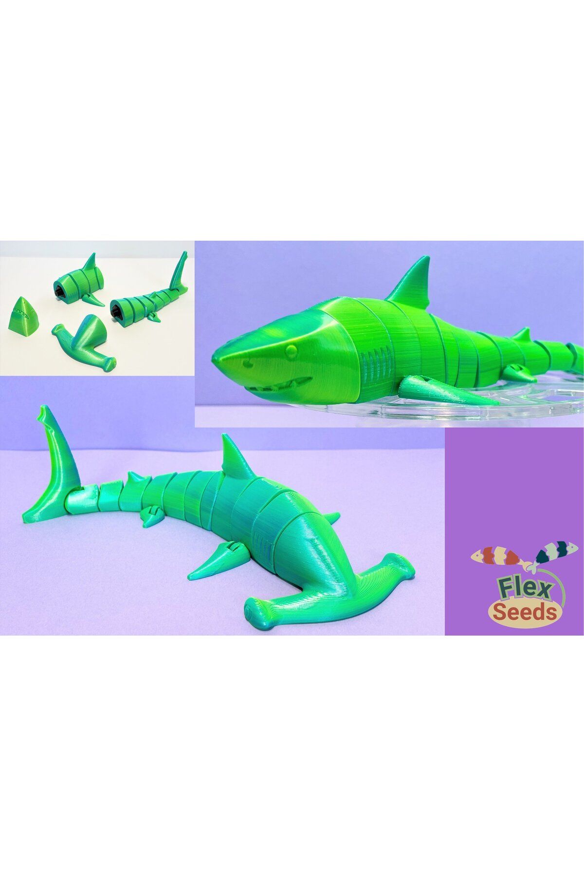 Vision Craft Flexi Shark & Hammerhead Seti