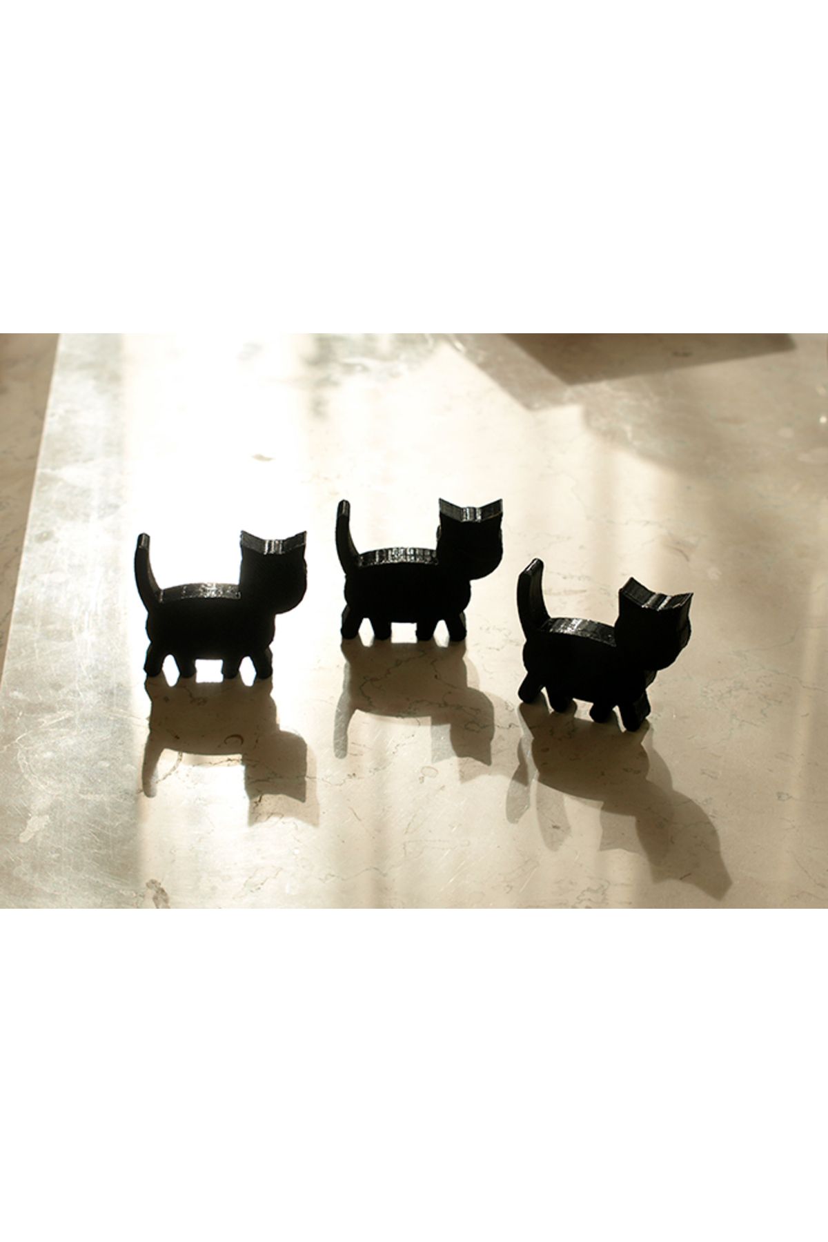 Vision Craft Fat Cat 2017 (3 Adet)