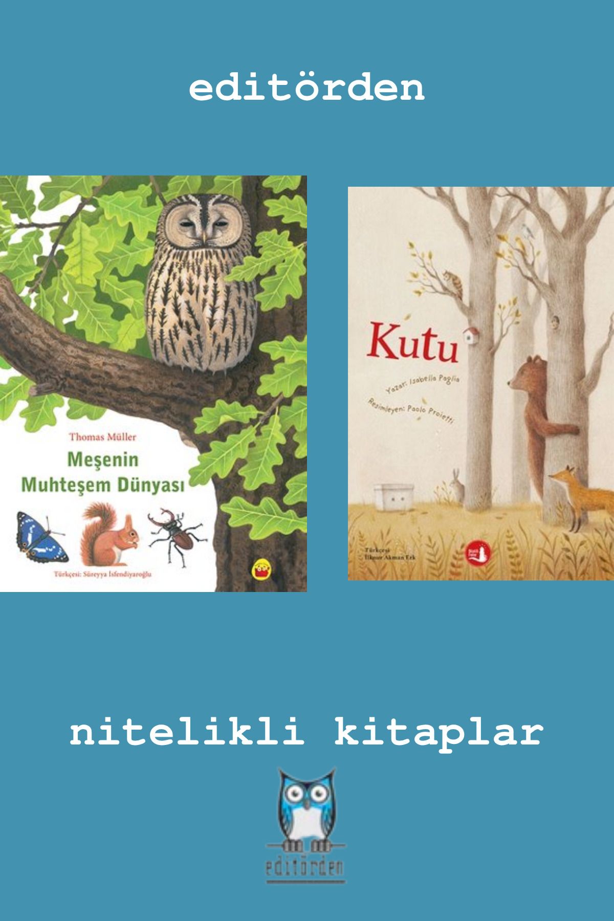 Bilge Kuş Yayınları Meşenin Muhteşem Dünyası - Kutu