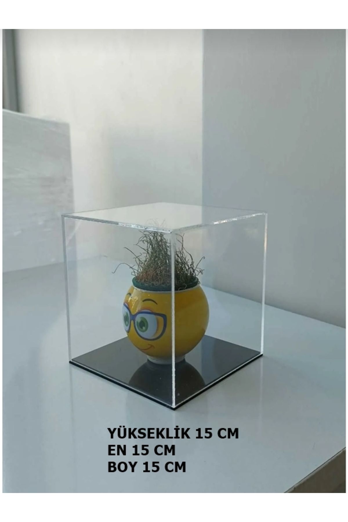 SeHa Design SeHa Pleksi Akrilik Şeffaf Kutu E15cmxB15cmxY15