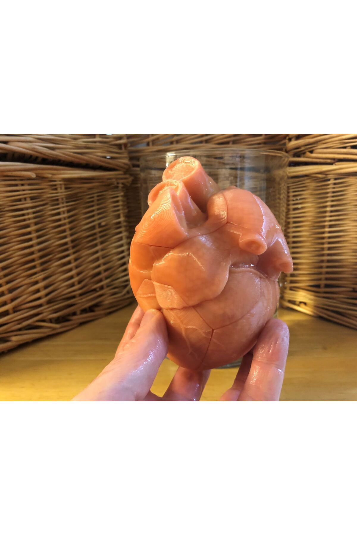 Vision Craft Anatomik kalp bulmaca