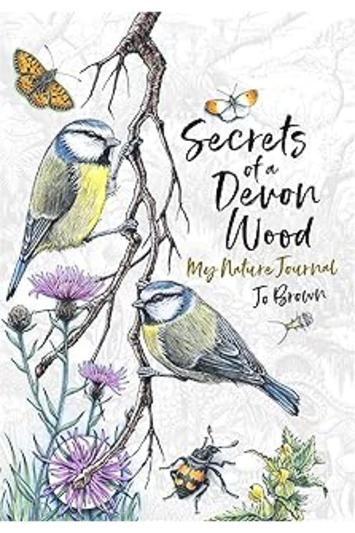Pazarcan Secrets Of A Devon Wood: My Nature Journal