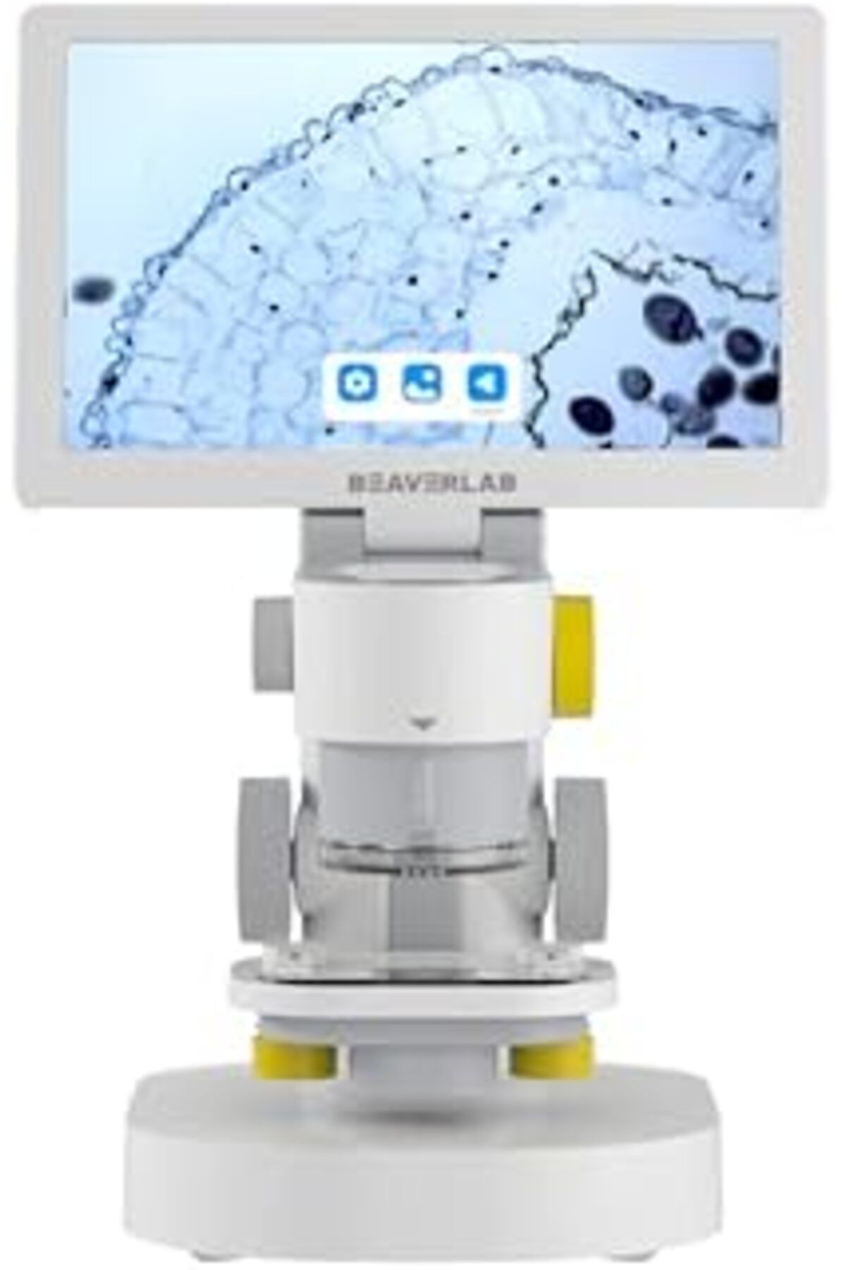 Pazarcan Beaverlab Intelligent Mx Mikroskop
