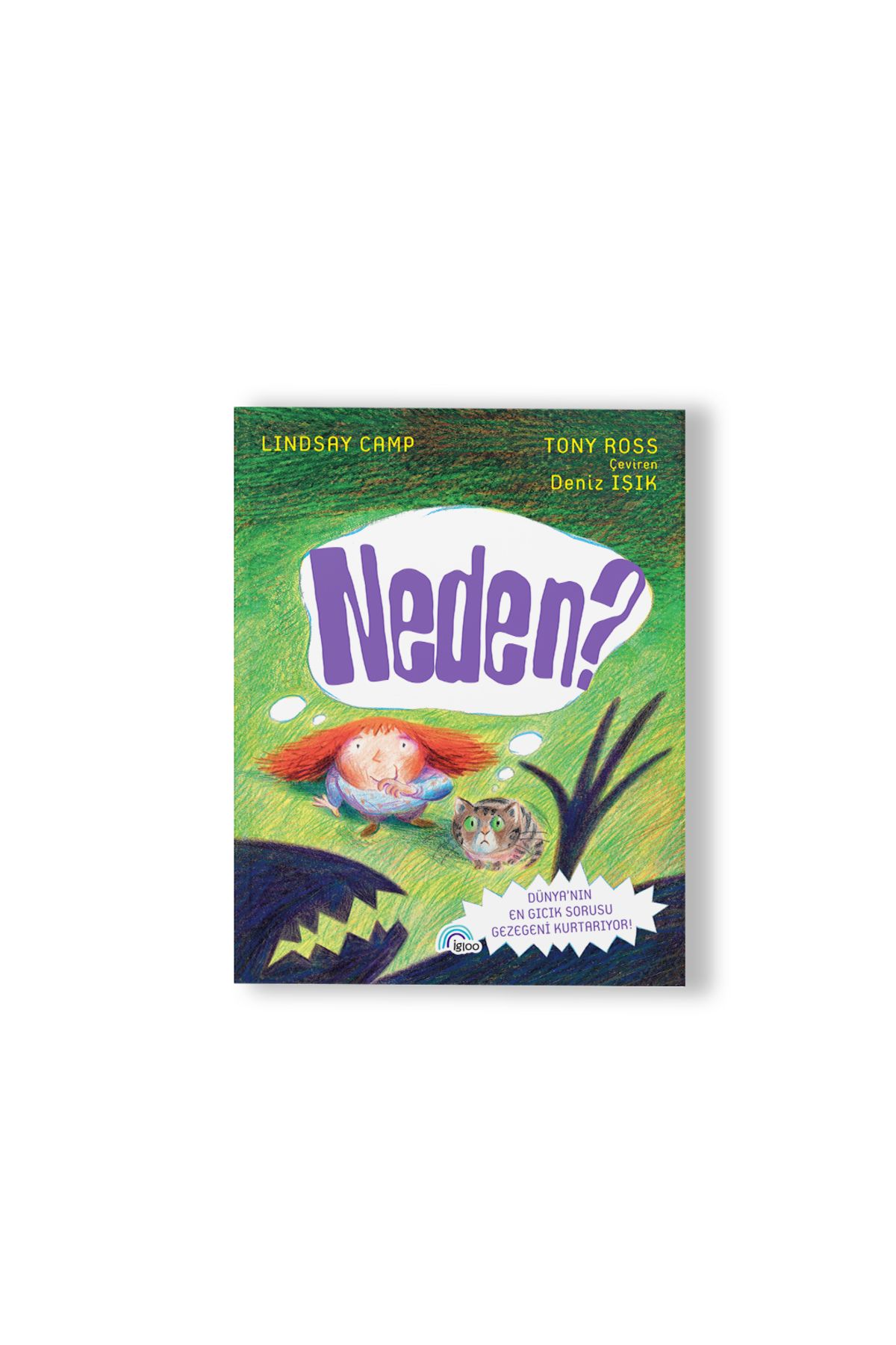 IGLOO Neden ?