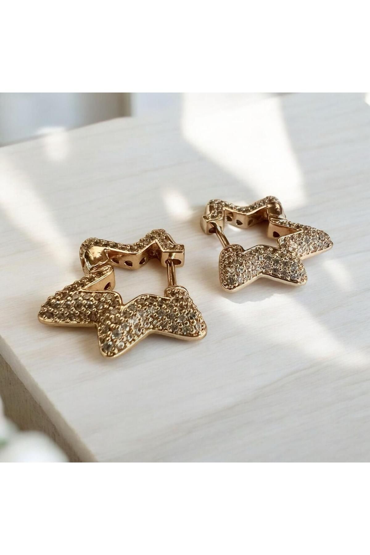 Solene Viostar Rose Gold Yıldız Tasarım Çelik Küpe
