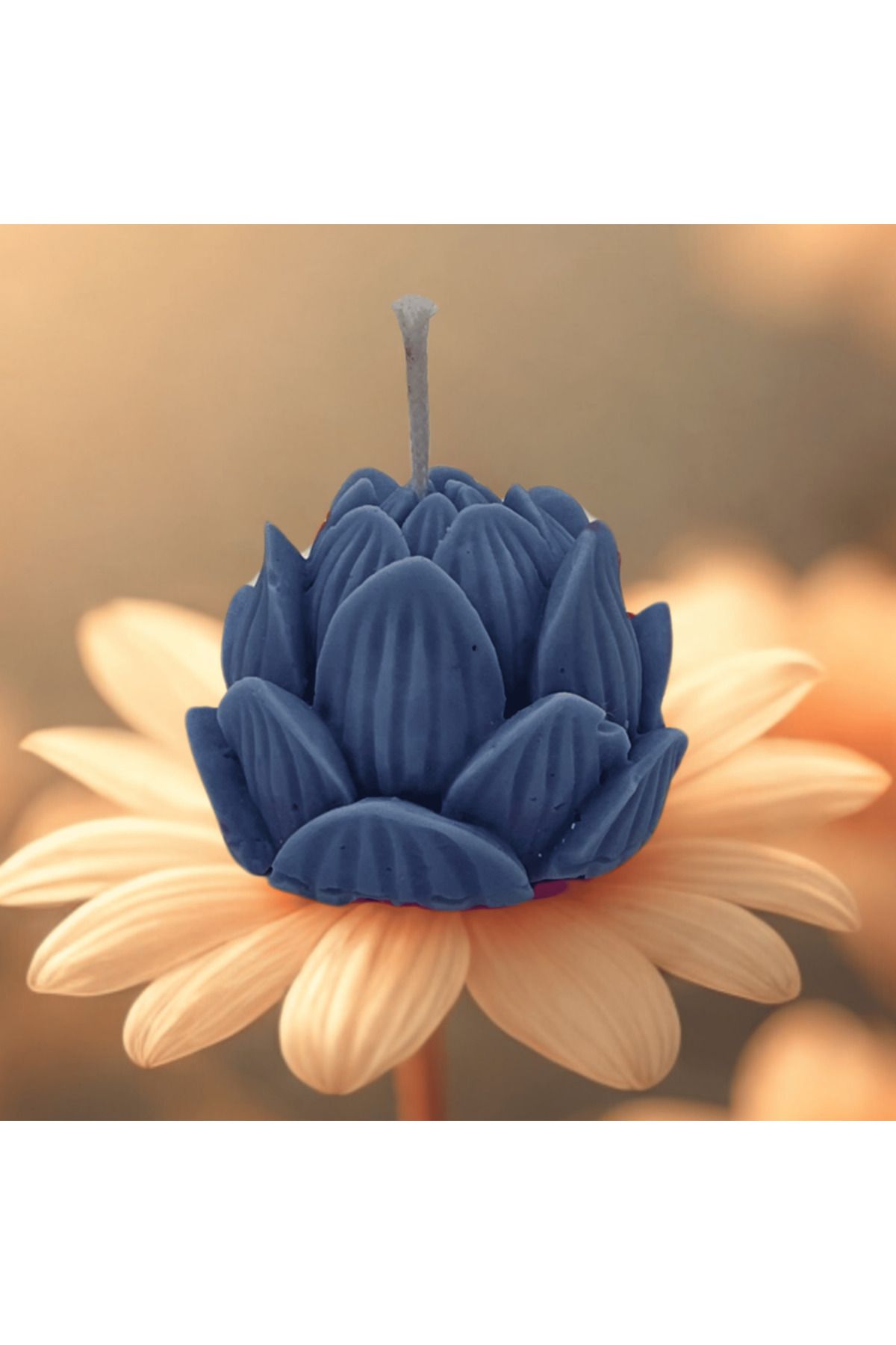 Saturnay Lotus Çiçeği Figürlü Kokulu Renkli Mum