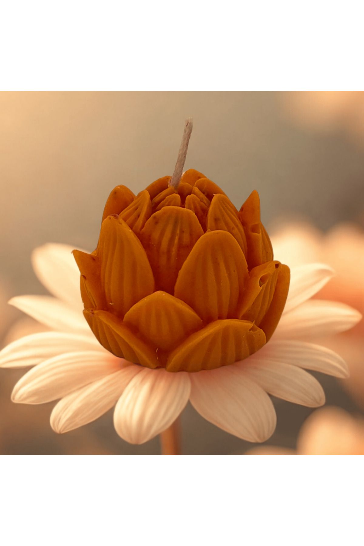 Saturnay Lotus Çiçeği Figürlü Kokulu Renkli Mum