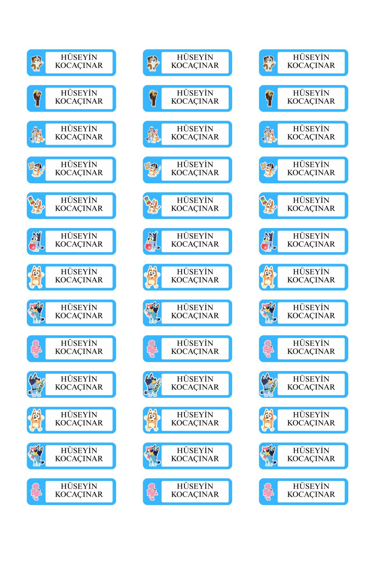 gg gençgirişimci BLUEY Temalı Isimli Okul Etiketi Defter Kitap Kalem Sticker (5x1.5 cm ) 100 Adet