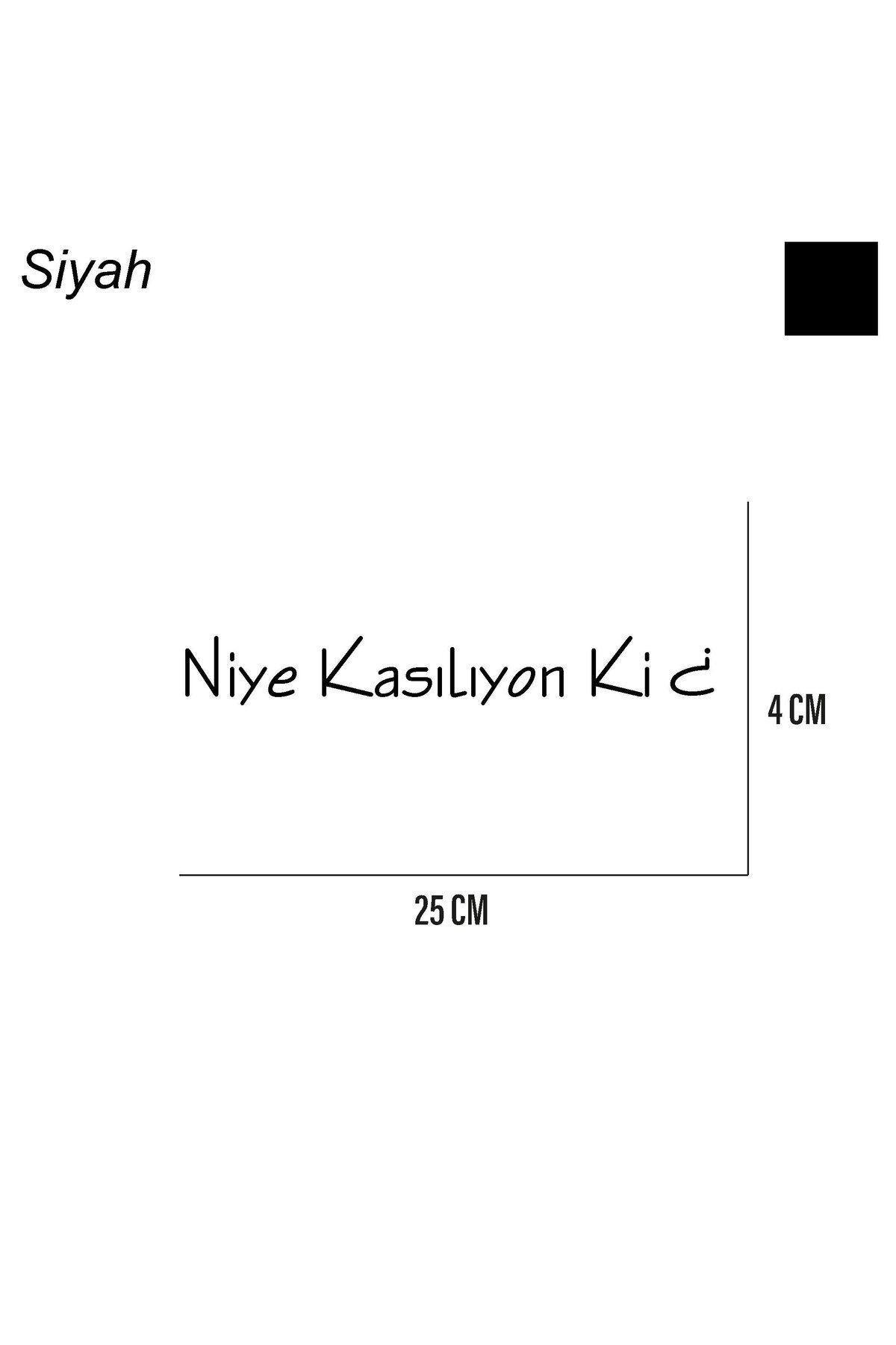 ARONA Niye Kasılıyon Ki Sticker Arka Cam Söz Sticker Etiket 25CM