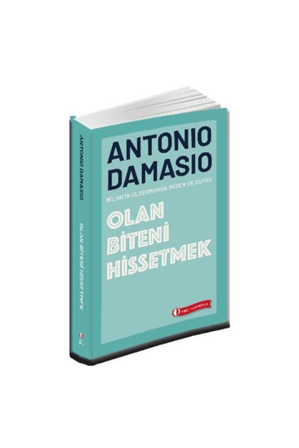 ODTÜ Geliştirme Vakfı Yayıncılık Olan Biteni Hissetmek