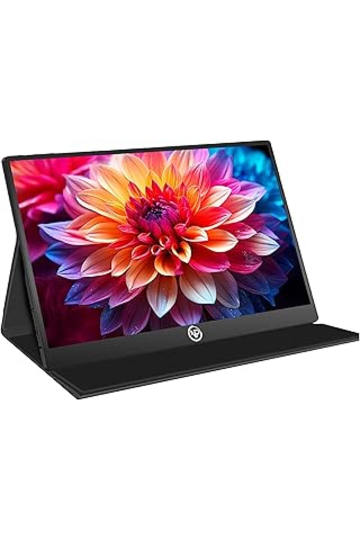 NETWORK ART Npo Npm6 15.6" Ips Fhd 5ms 60hz Type-c Telefon Ve Oyun Konsolu Uyumlu Metal Kasa Taşınabilir Monitö