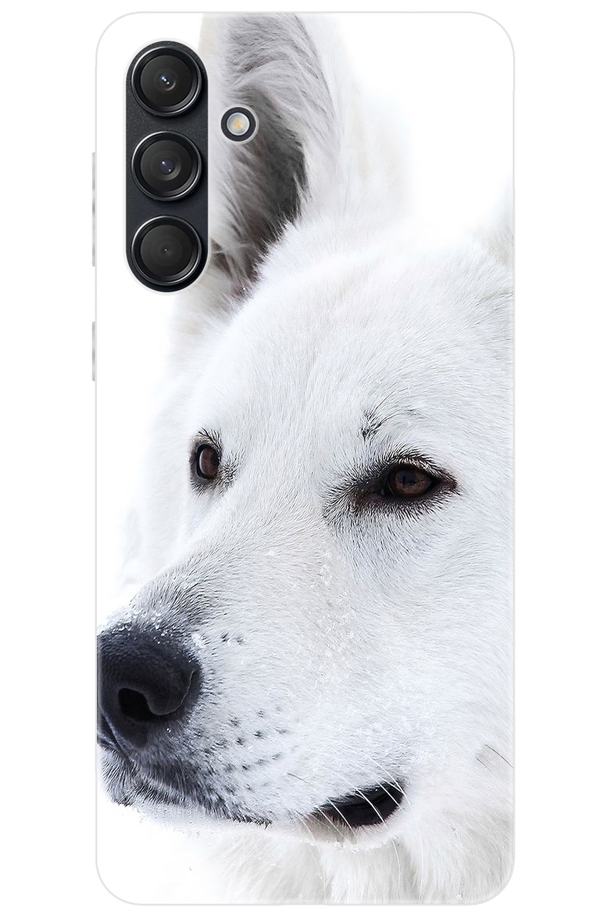 Ceppare Samsung Galaxy M55 (SM-M556B) Uyumlu Kılıf Desen Baskılı Silikon Beyaz Kurt STK:169 CP-psV7MUt