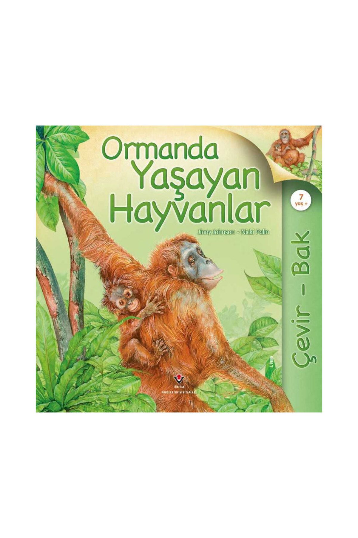 TÜBİTAK Popüler Bilim Yayınları Çevir Bak Ormanda Yaşayan Hayvanlar TÜBİTAK Popüler Bilim Yayınları