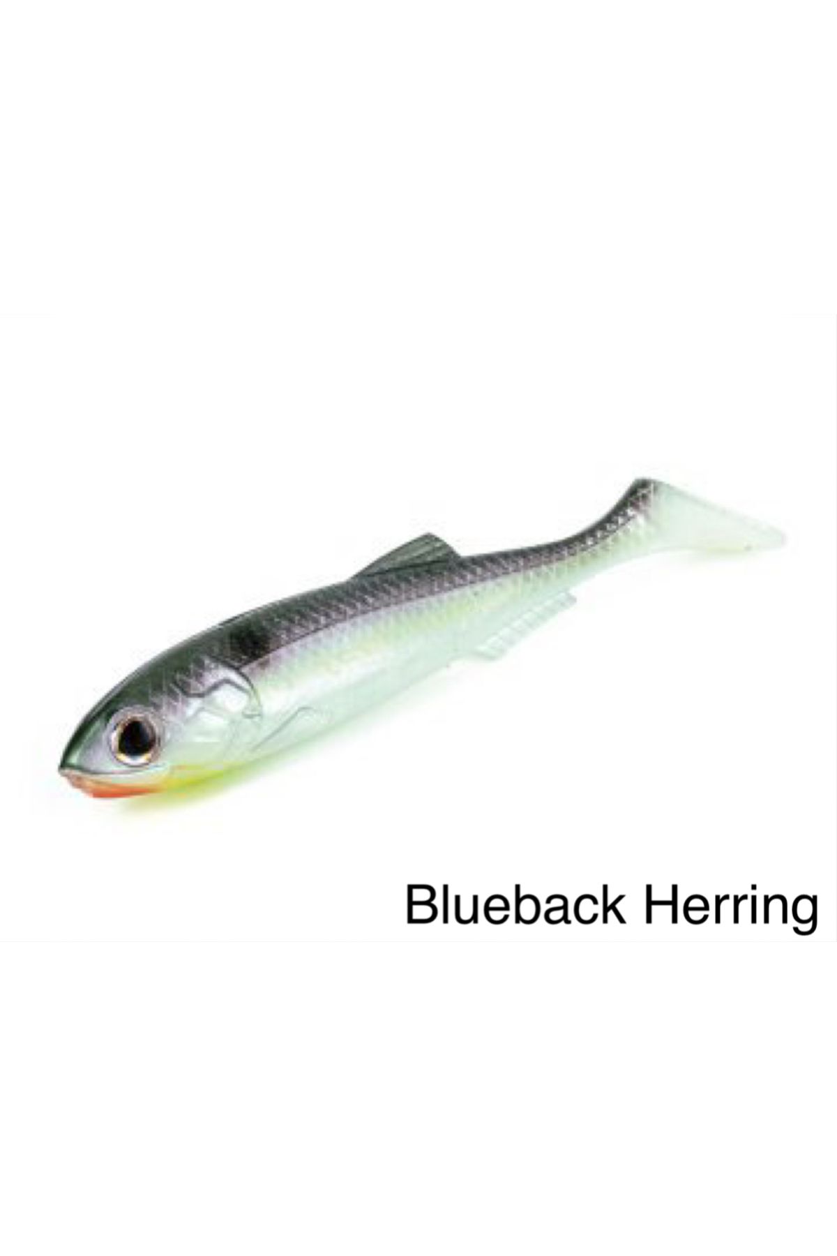 MOLIX RT SHAD 2.8