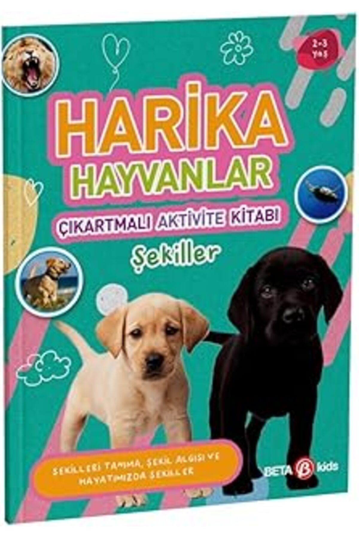 Mu Art Ahşap Harika Hayvanlar - Çıkartmalı Aktivite Kitabı