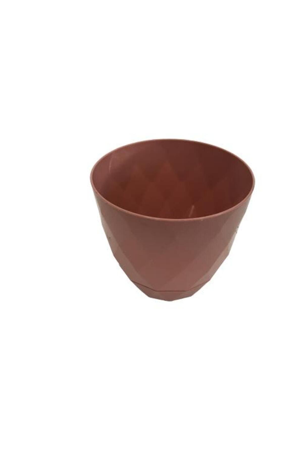 önder botanik 5 (BEŞ) ADET SUKULENT VE KAKTÜS SAKSISI (9 CM 'LİK) PEMBE RENK