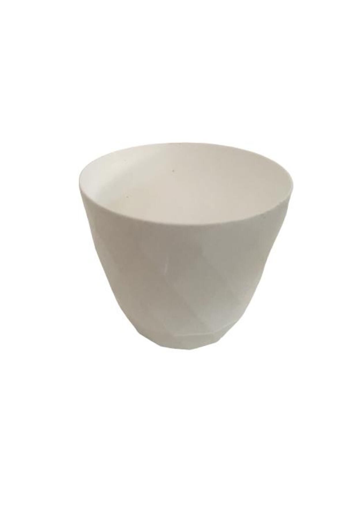 önder botanik 5 (BEŞ) ADET SUKULENT VE KAKTÜS SAKSISI (9 CM 'LİK) BEYAZ RENK