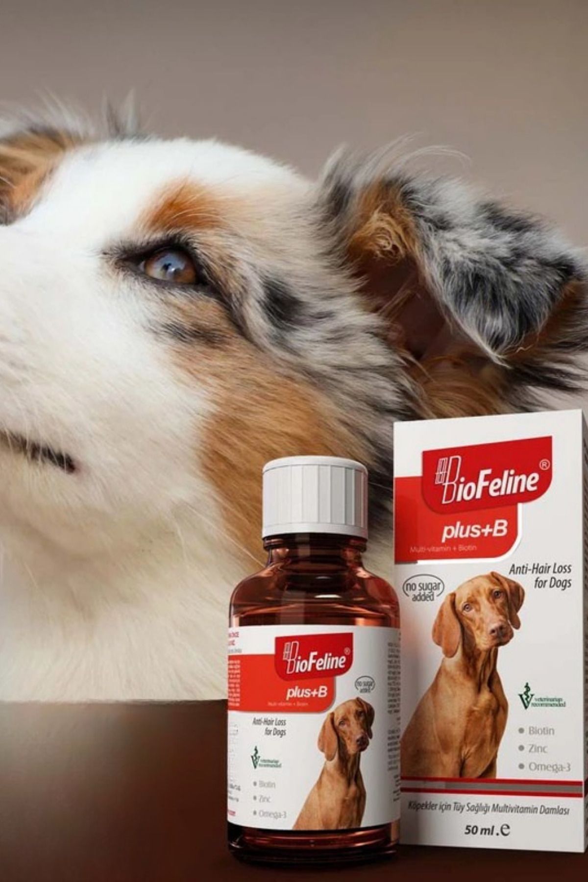 ZİLLİ SHOP DioFeline Plus+B Multivitamin + Biotin Köpekler İçin Takviye Damla