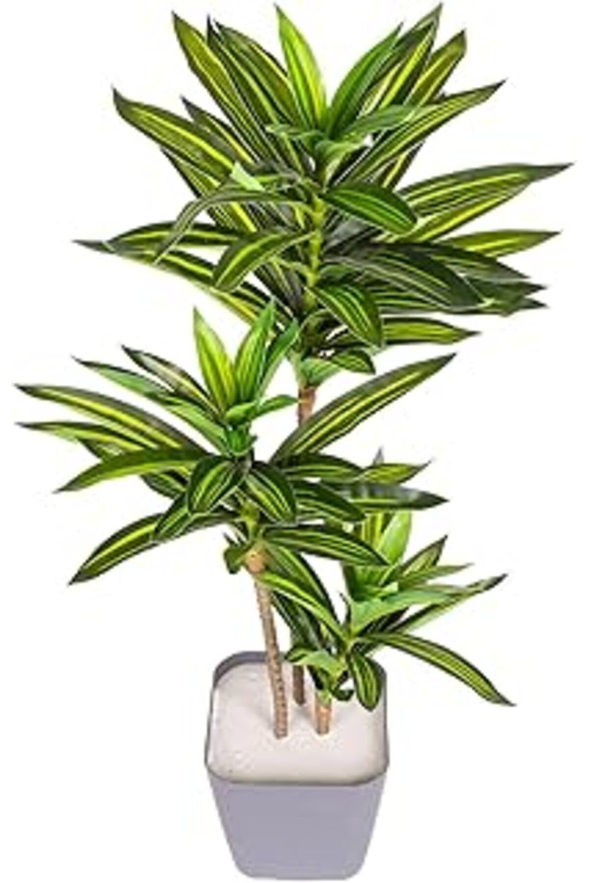 ASİTAN Herdekora Yapay Dracena Gerçek Dokulu 72 Cm.