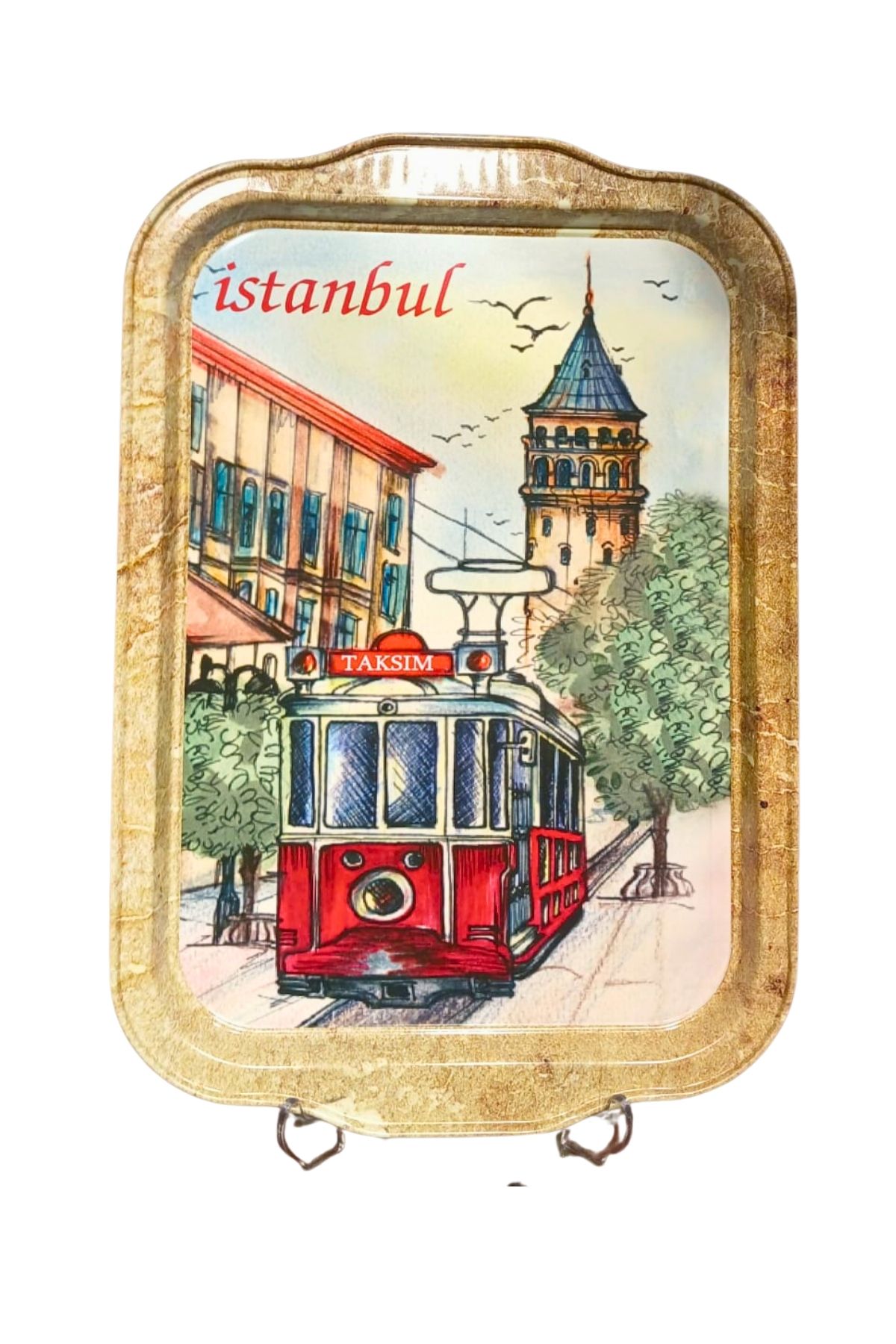 Koza Desenli 32x23 Renkli Tepsi