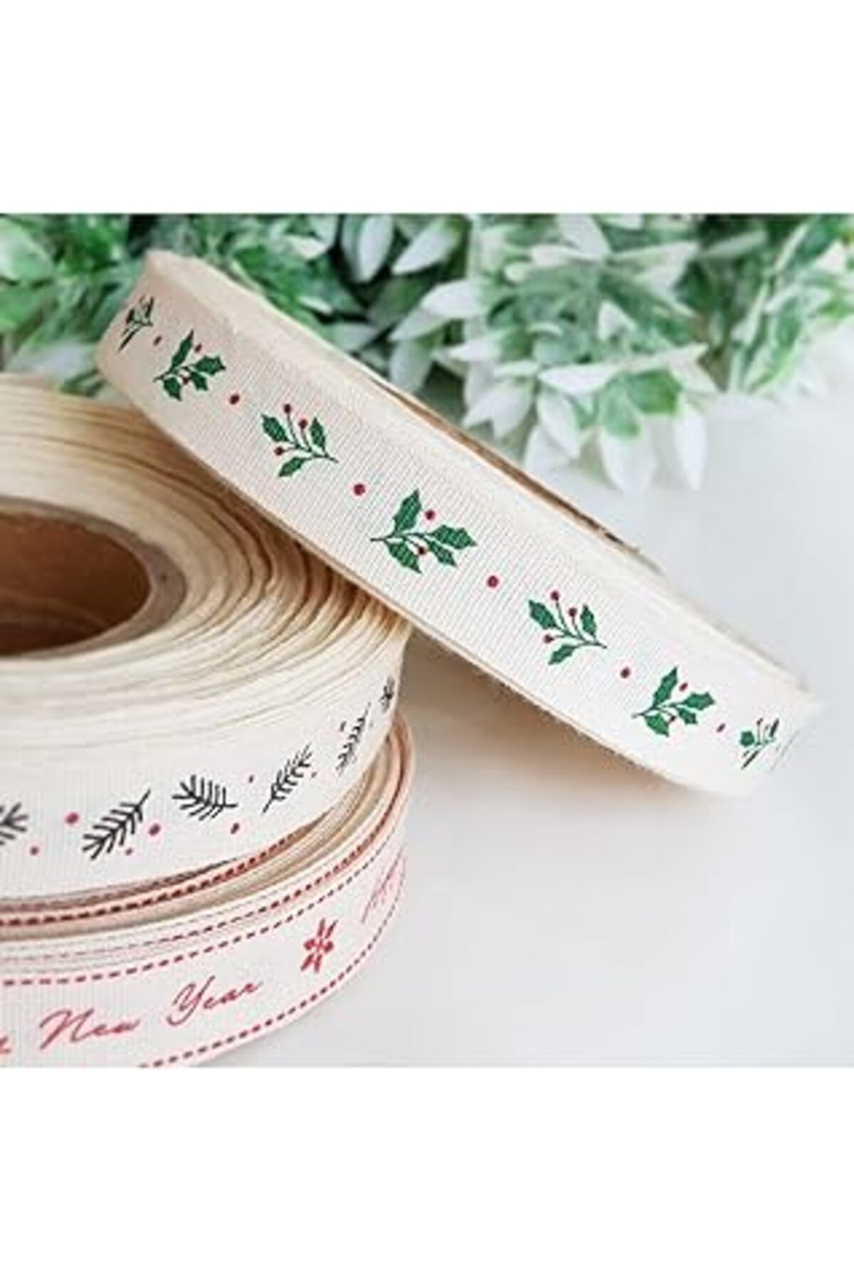 ASİTAN Bimotif Pamuk Şerit, Holly, 1.5 Cm 2 Metre Natürel