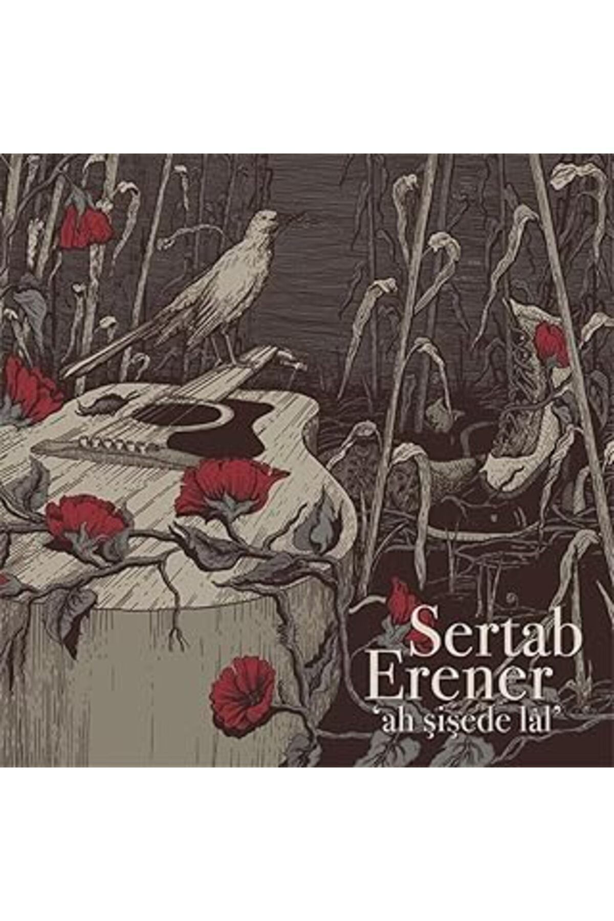 ASİTAN My Yonca Sertab Erener 'Ah Şişede Lal' Plak