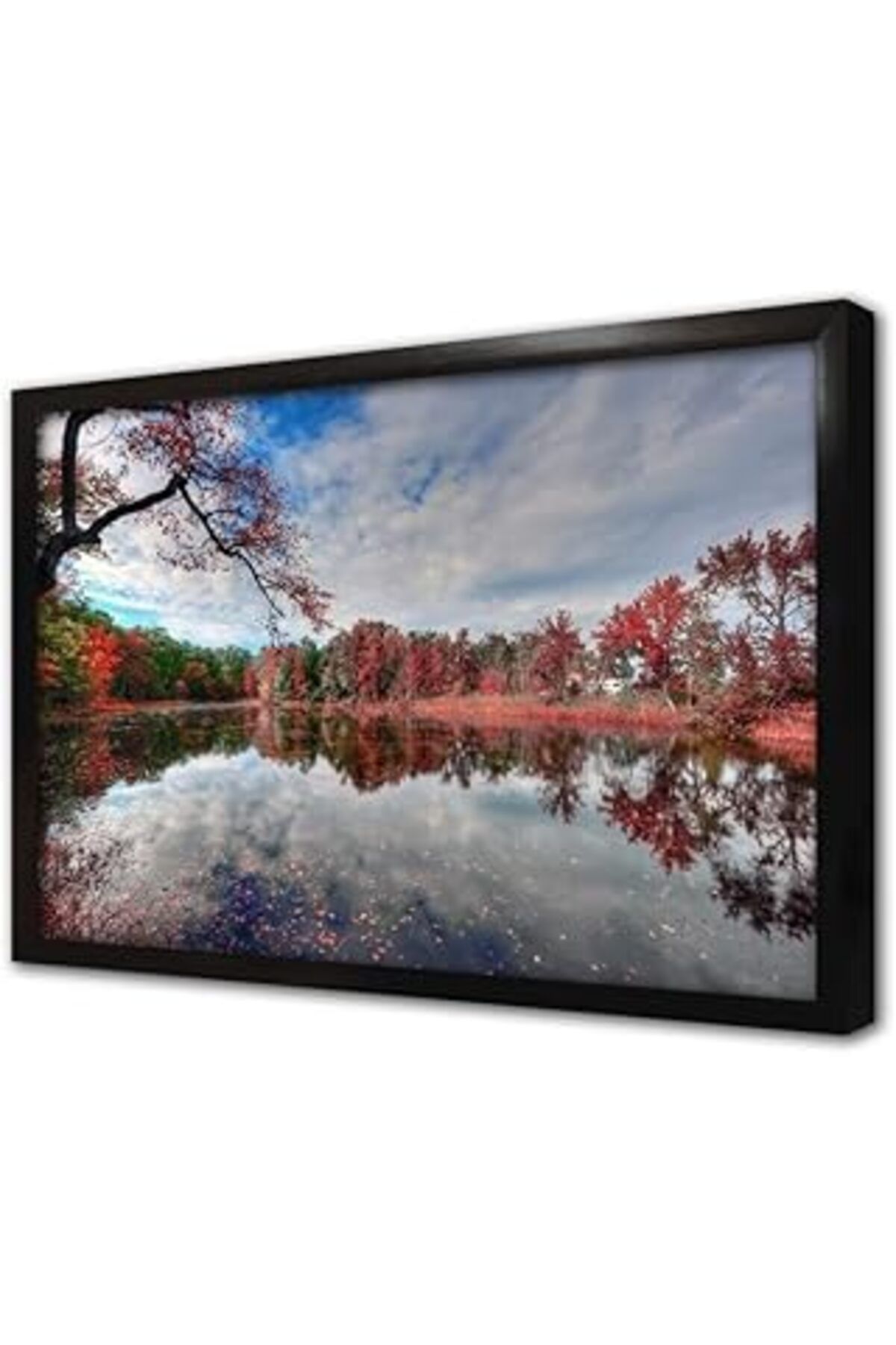 Pazarcan Kırmızıya Bürünmüş Ağaç Çerçeveli Cam Tablo 50X70 Cm Ca20630