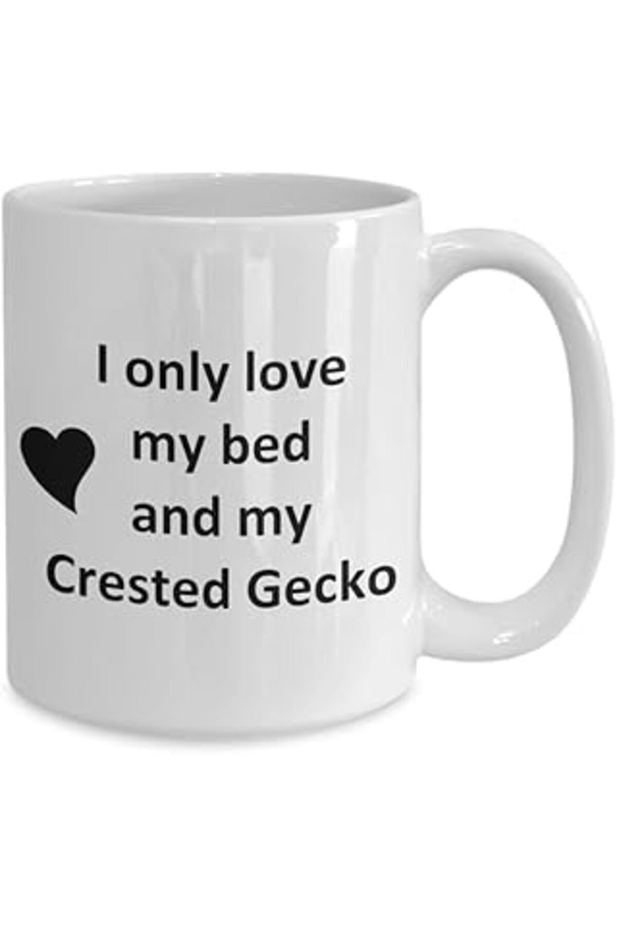 ASİTAN Print Dore Komik Tepeli Gecko Lover Kupa - Sürüngen Evcil Hayvan - Love My Crested Coffee- Ingilizc