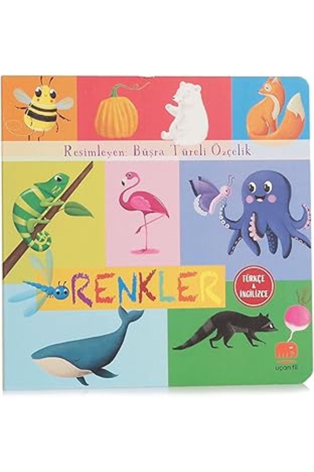 ASİTAN Renkler