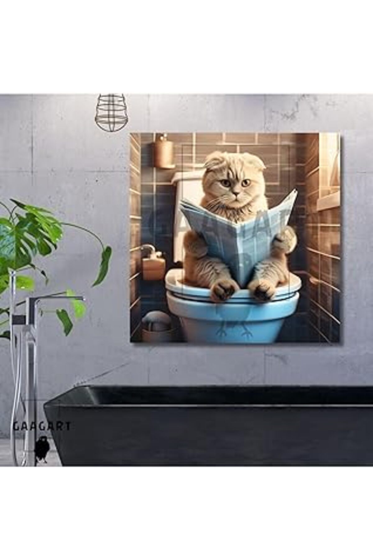 Mu Art Ahşap Gaagart Tekli Kare Kanvas Banyo Tablosu Gazete Okuyan Bal Gözlü Scottish, 50 X 50