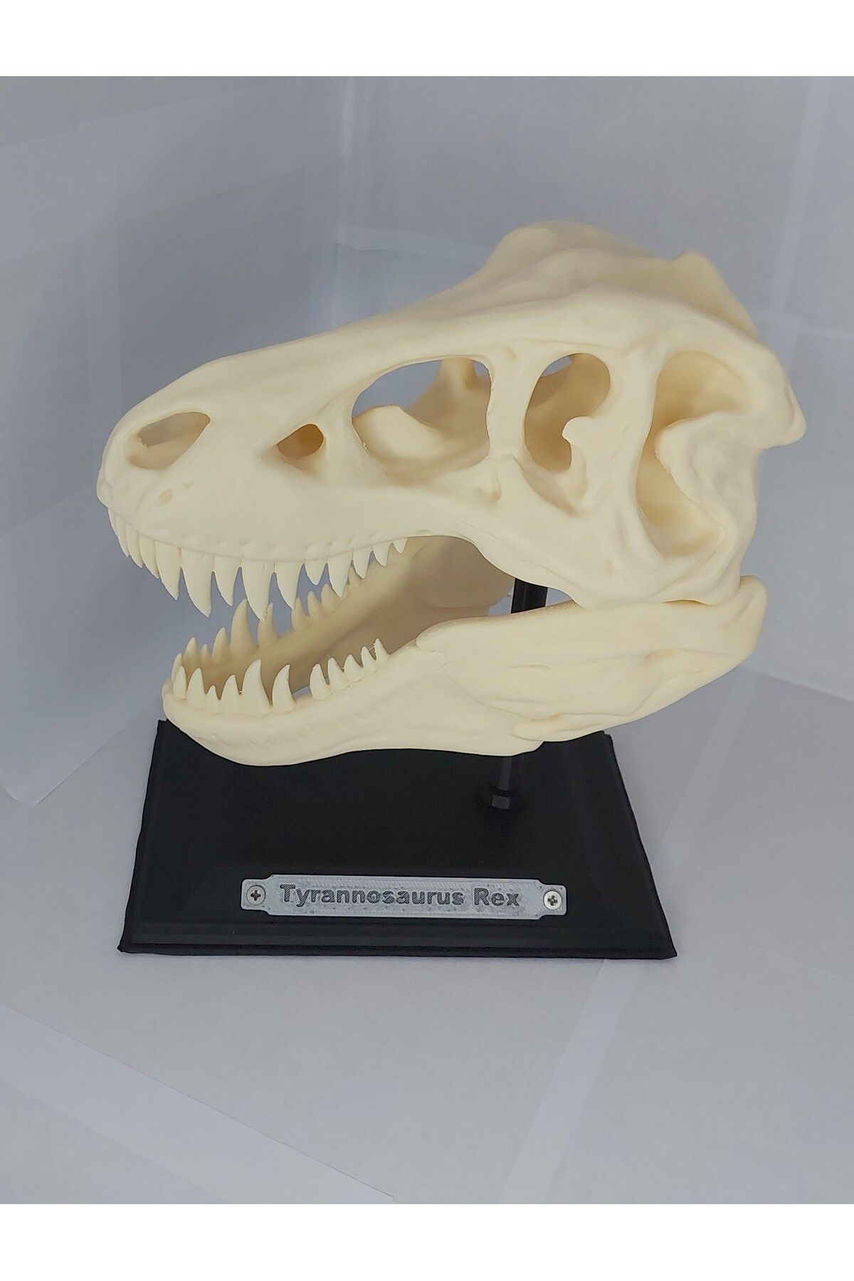 3Dreame design studio TREX 3D DEKOR