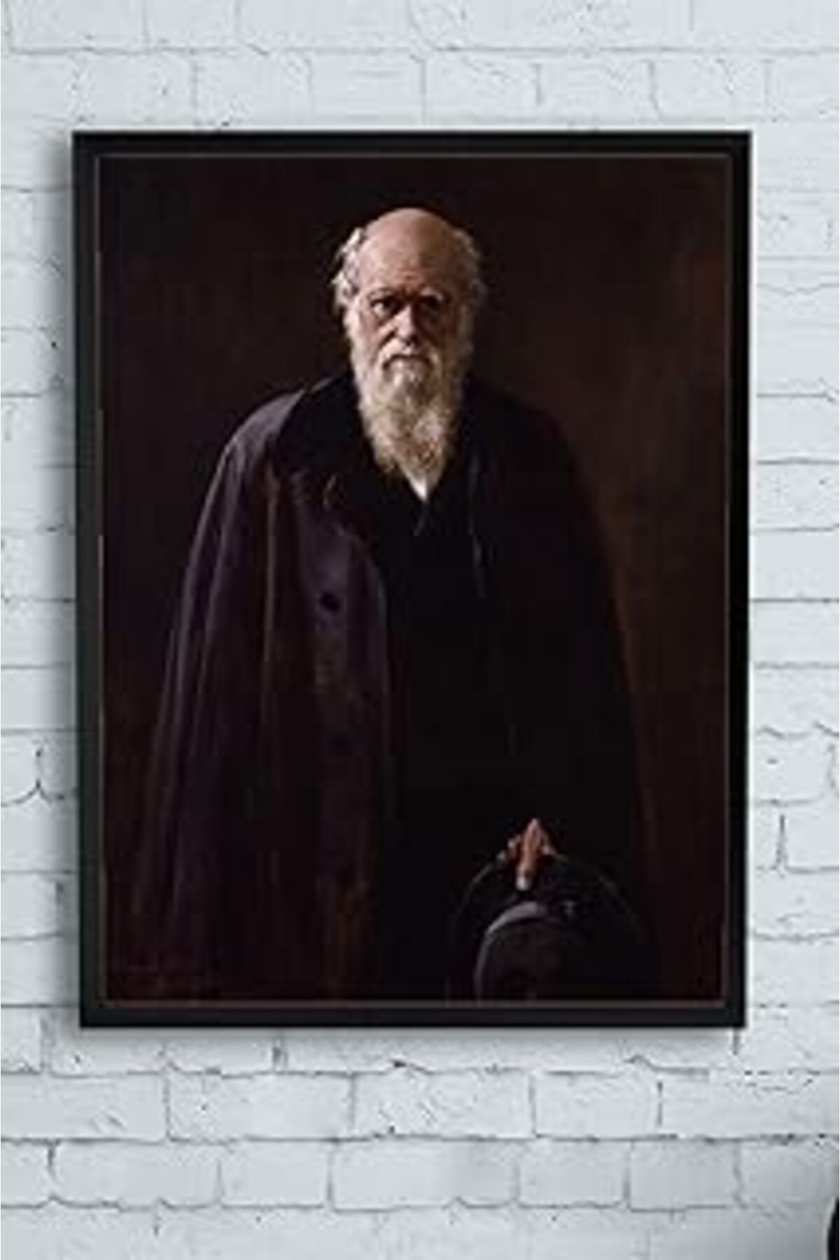 Mu Art Ahşap Postermanya (Pster10516) Darwin Bilimsel Çerçeveli Tablo (50X70Cm)